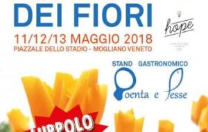 mogliano veneto