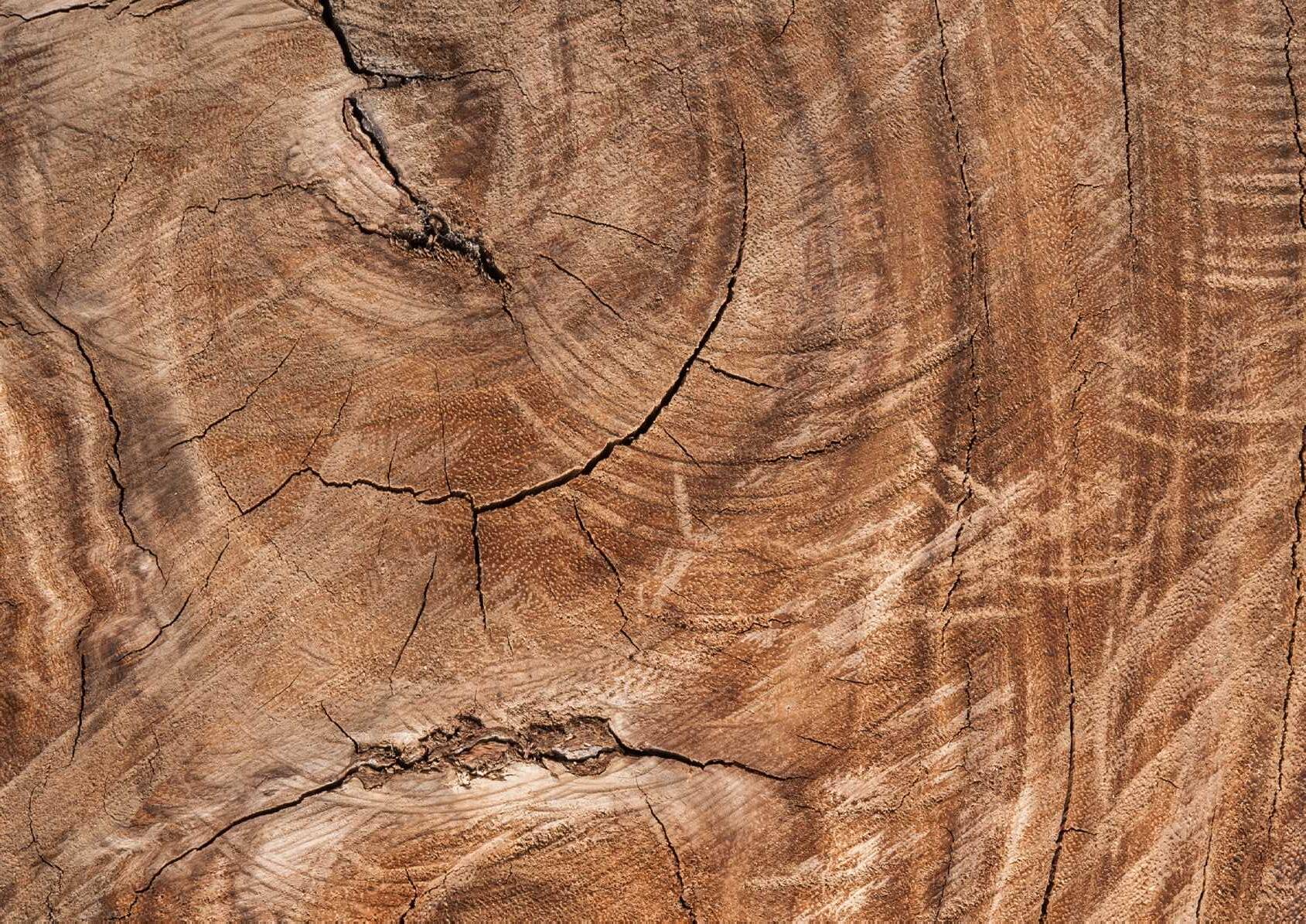 Legno